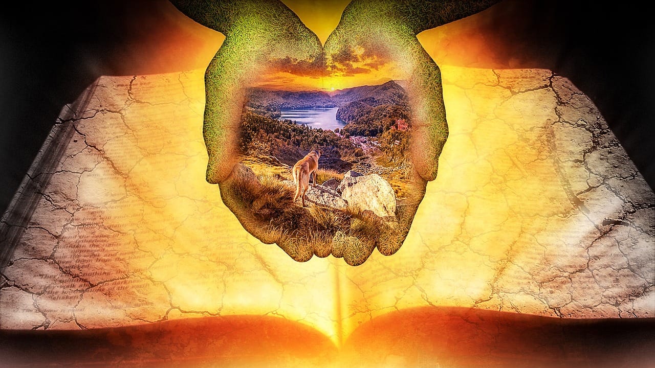 Katalońskie dania, które zaskoczą każdego turystę