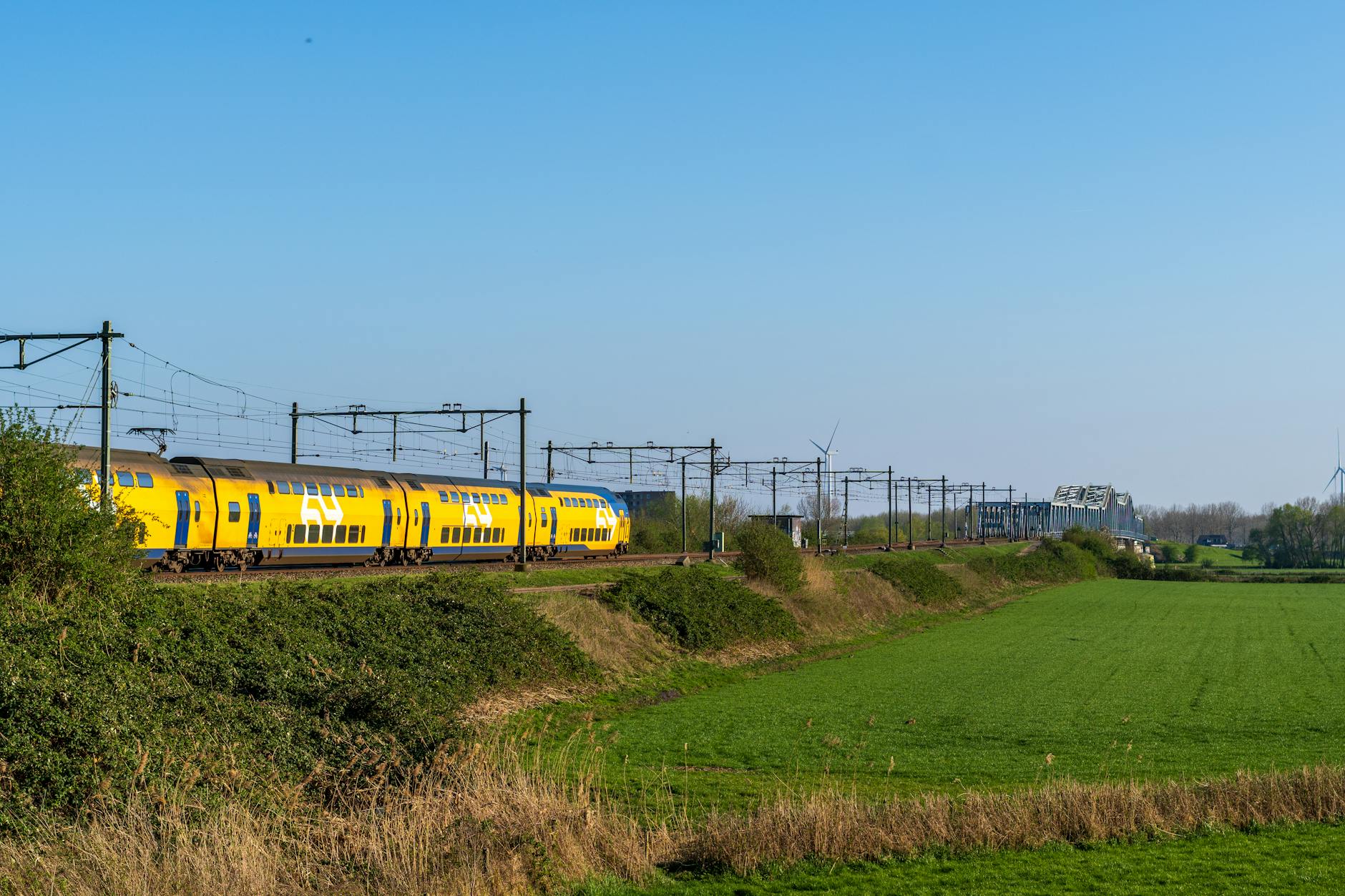 Żółty pociąg jedzie przez zieloną holenderską wieś w słoneczny dzień
