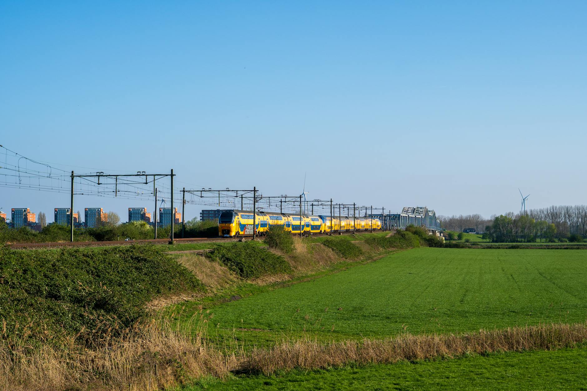 Żółty pociąg jedzie przez zielone pola w pobliżu holenderskiego miasta